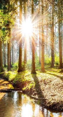 Rollo Die Sonne scheint durch die Bäume