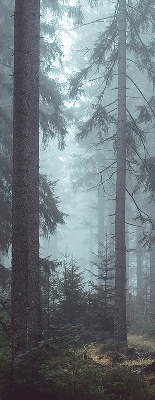 Fensterrollo Wald bei Nacht