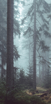 Fensterrollo Wald bei Nacht