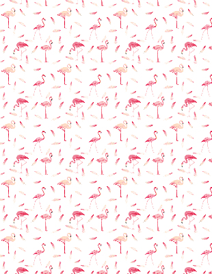 Rollo Flamingos und ihre Federn