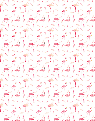 Rollo Flamingos und ihre Federn