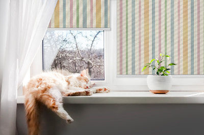 Fensterrollo innen Bunte vertikale Streifen