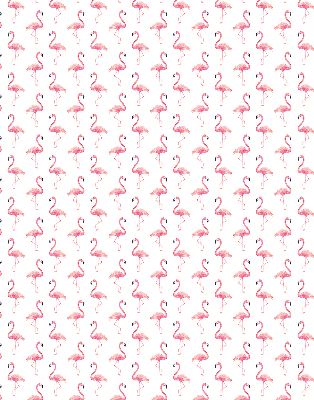 Rollo Flamingos