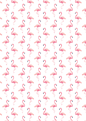 Rollo Flamingos