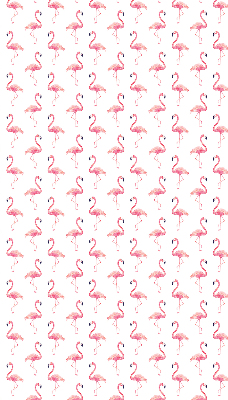 Rollo Flamingos