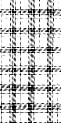 Rollo Grauer Tartan