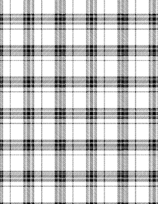 Rollo Grauer Tartan