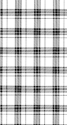 Rollo Grauer Tartan