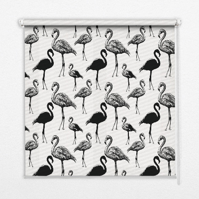 Rollo Schwarze Flamingos