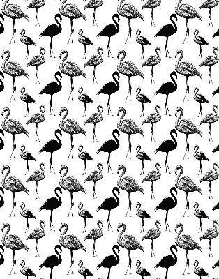 Rollo Schwarze Flamingos