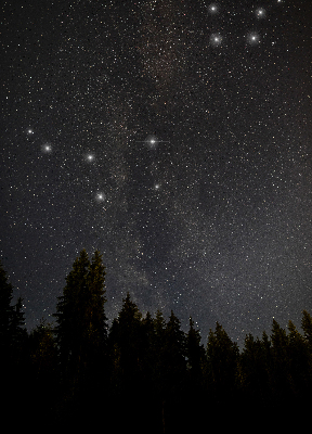 Verdunkelungsrollo Sterne im Himmel