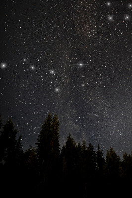 Verdunkelungsrollo Sterne im Himmel