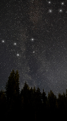 Verdunkelungsrollo Sterne im Himmel