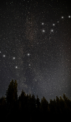 Verdunkelungsrollo Sterne im Himmel