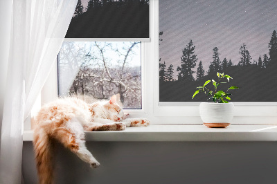 Fenster rollo innen Sternenklarer Himmel