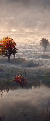 Rollo Bäume im Nebel