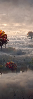 Rollo Bäume im Nebel