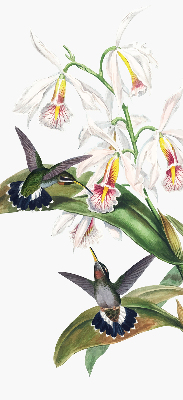 Rollo Vögel auf einer Blume