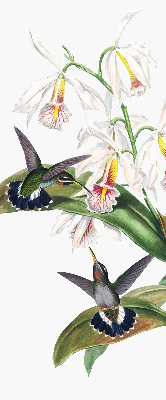 Rollo Vögel auf einer Blume
