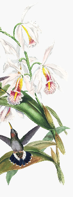 Rollo Vögel auf einer Blume