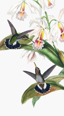 Rollo Vögel auf einer Blume