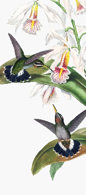 Rollo Vögel auf einer Blume