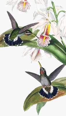 Rollo Vögel auf einer Blume