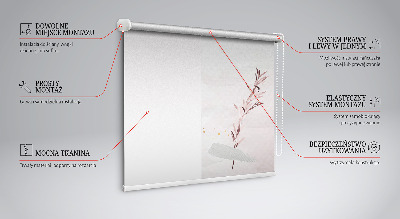 Rollo Ein zerknittertes Stück Papier