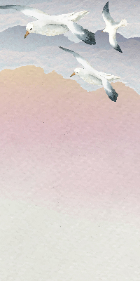 Rollo Fliegende Vögel