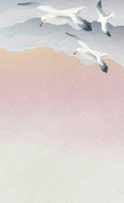 Rollo Fliegende Vögel