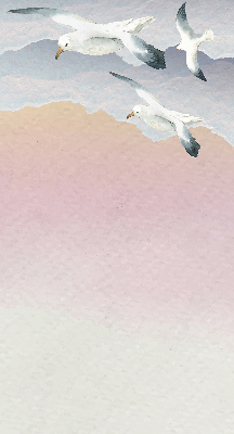 Rollo Fliegende Vögel