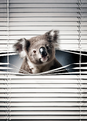 Fenster rollo innen Koala