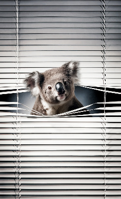 Fenster rollo innen Koala