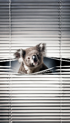 Fenster rollo innen Koala