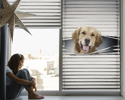 Fensterrollo Goldener Hund
