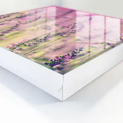 Ein lila Garten an einem Sommertag