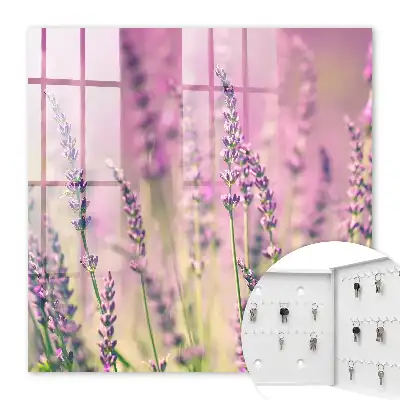 Ein lila Garten an einem Sommertag
