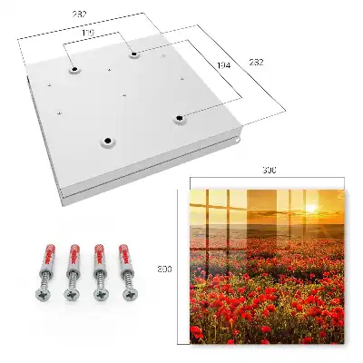 Mohnfelder im Sonnenuntergang