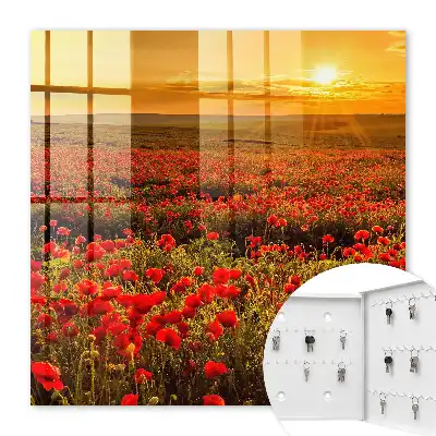 Mohnfelder im Sonnenuntergang