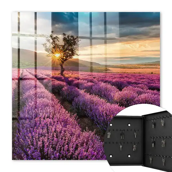 Lavendel-Sonnenuntergang