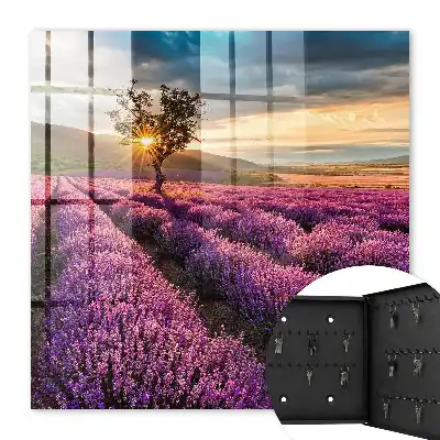 Lavendel-Sonnenuntergang