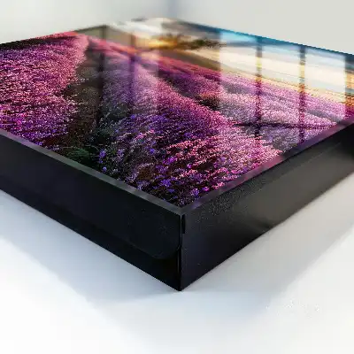 Lavendel-Sonnenuntergang