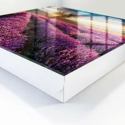 Lavendel-Sonnenuntergang