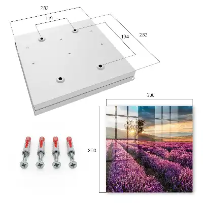 Lavendel-Sonnenuntergang