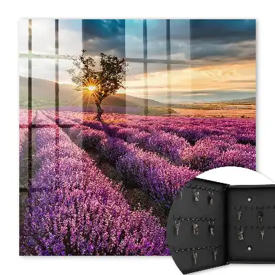 Lavendel-Sonnenuntergang