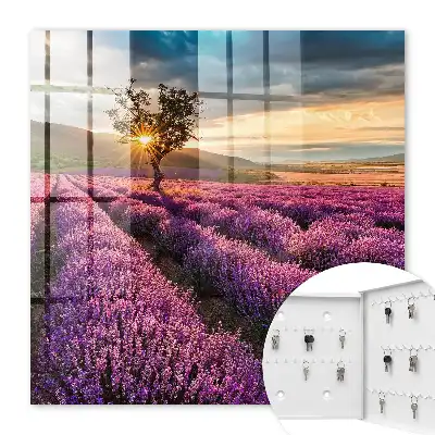 Lavendel-Sonnenuntergang