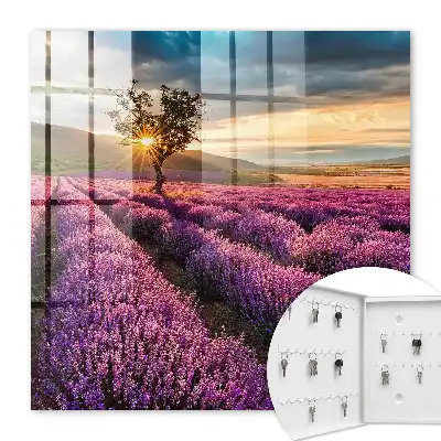 Lavendel-Sonnenuntergang