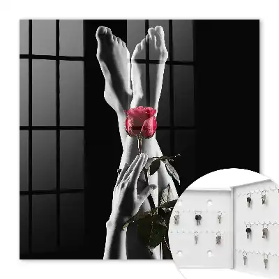 Die Eleganz einer Rose in Weiß und Rot