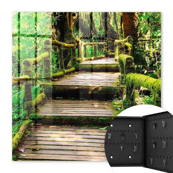 Waldbrücke im grünen Wald
