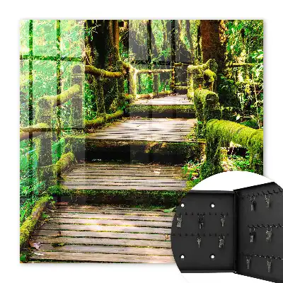 Waldbrücke im grünen Wald
